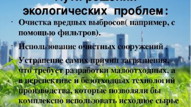 Photo of Секреты успешного обучения